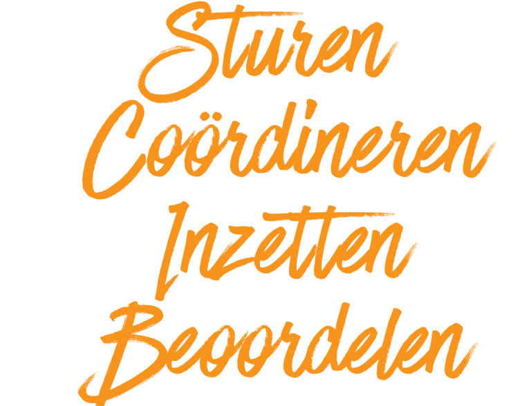 Sturen-Coördineren-Inzetten-Beoordelen